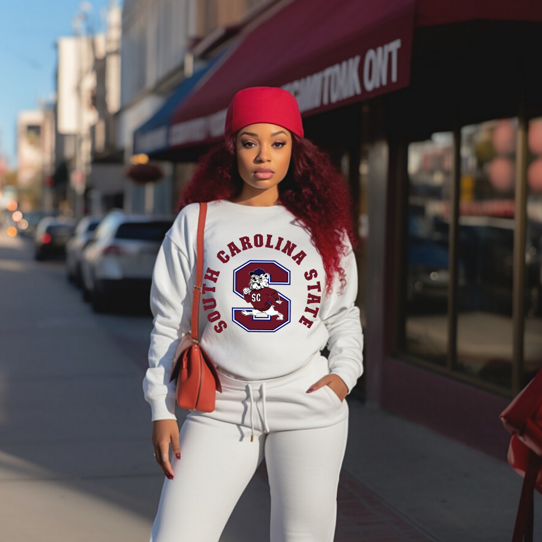 (Print To Order) College Spirit DTF Transfers (Adult Size 12-13”)