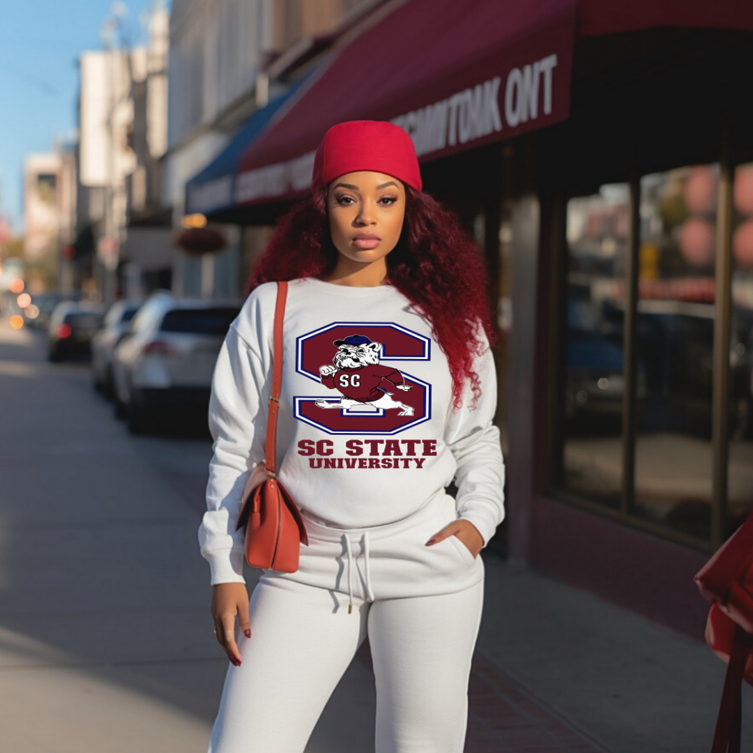 (Print To Order) College Spirit DTF Transfers (Adult Size 12-13”)