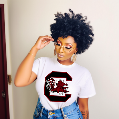 College Spirit Shirts